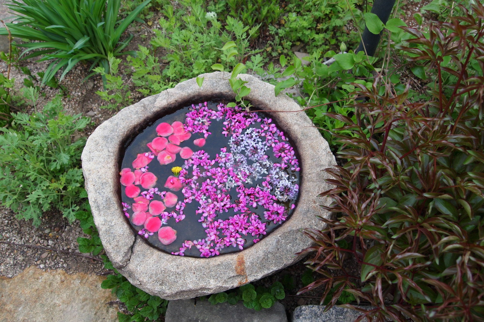Floral Space Hanok Guesthouse Гиеонгджу Екстериор снимка