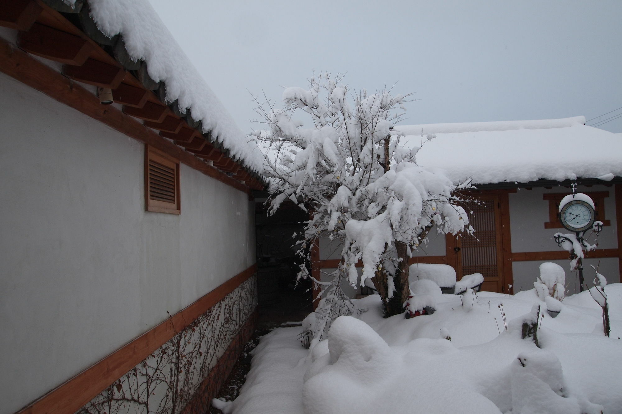 Floral Space Hanok Guesthouse Гиеонгджу Екстериор снимка